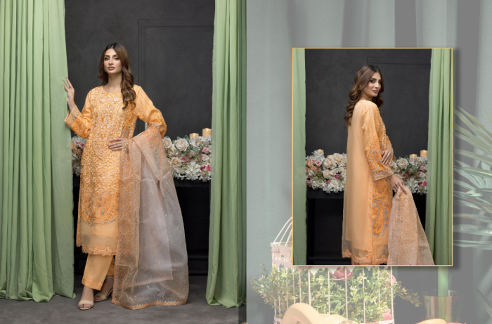 FEIONA ORGANZA STITICHED EMBROIDERED COLLECTION BY ZAINAB FAZLANI - Image 3